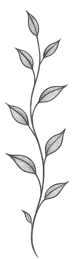 Minimalist Stipple Shading Botanical Leaf Branch Vine Herbal Temporary Tattoo