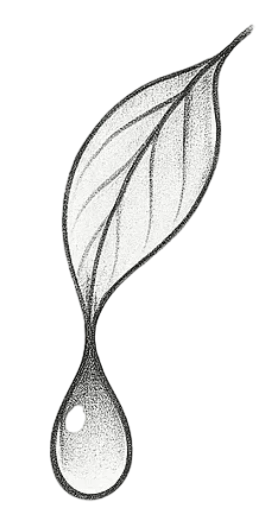 Minimalist Stipple Leaf With Water Droplet And Rain Design Herbal Temporary Tattoo